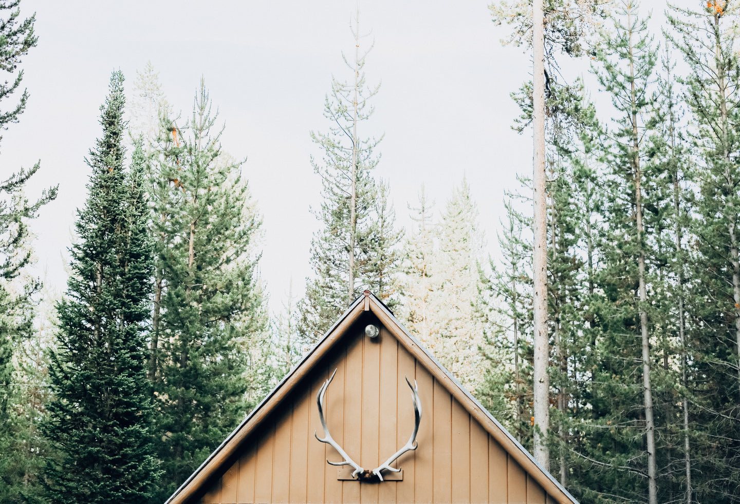 Top 5 Things to Experience in the Nordic Countries