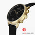 PI42GOMEBLBL &Pioneer mens gold watches - black dial - black mesh strap