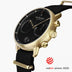 PI42GONYBLBL &Pioneer mens gold watches - black dial - black nylon strap
