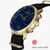 PI42GONYBLNA &Pioneer mens gold watches - navy blue dial - black nylon strap